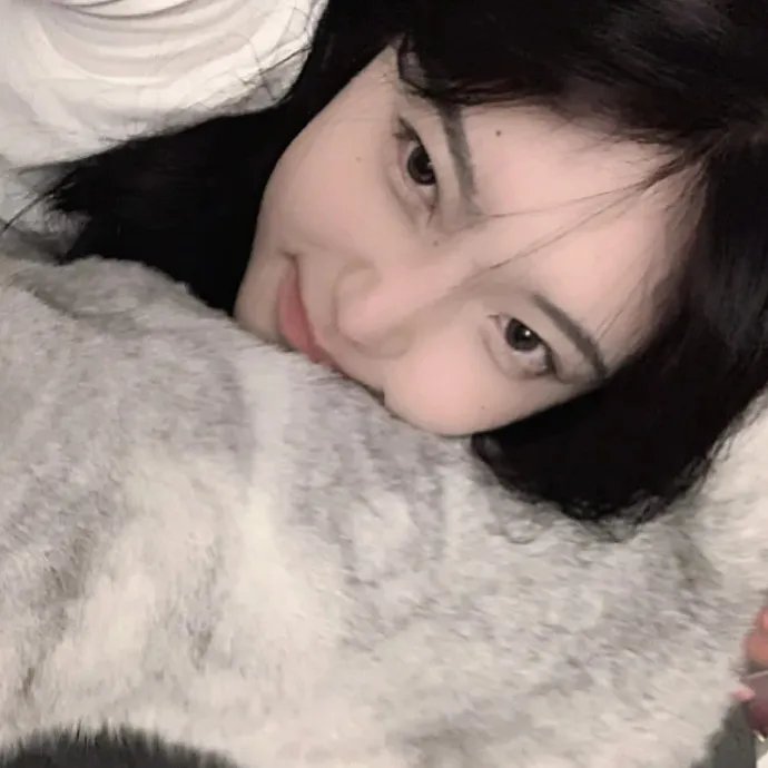 陀枪师姐3粤语